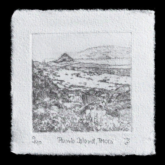 This print, titled "Plumb Island, Tresco, Isles of Scilly" by Julia Bauer, features a captivating landscape created using drypoint techniques. The monochromatic design showcases a serene island scene, with rolling hills, lush vegetation, and a tranquil atmosphere. The subtle texture and detailed lines in the print evoke a sense of calmness and connection to nature.