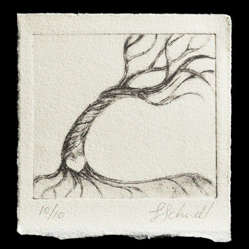 This etching by Lisa Kahn Schnell features a delicate tree with bare branches set against a white background. The intricate details of the bark and leaves are skillfully rendered in black ink, creating a sense of depth and texture. A subtle signature is visible at the bottom of the print.