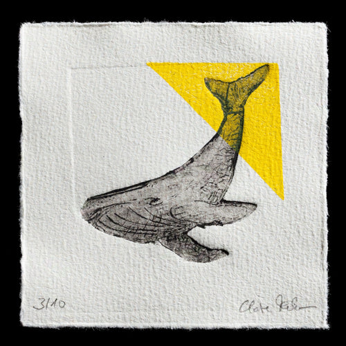 This monochromatic etching with a pop of yellow depicts a whale in mid-dive against a white background. A triangular element adds depth to the composition, while Claire Fabian's signature is discreetly placed at the bottom right corner. The overall effect is one of dynamic movement and energy.