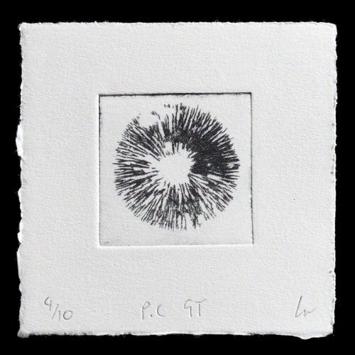 This print, titled 'Psilocybe Cubensis, Golden Teacher' by Luke Sebastian Wade, features a striking black drypoint etching on white paper. The central square design showcases intricate radial lines radiating from the center, creating a dynamic visual effect. The artist's use of drypoint techniques has resulted in a textured and detailed print that invites close examination.