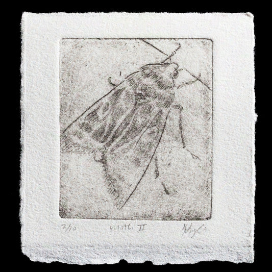 Here is a concise yet informative description:

"Moth II" by Kristen Lyle showcases the artist's mastery in intaglio techniques, presenting a detailed moth motif with intricate textures and subtle color nuances."