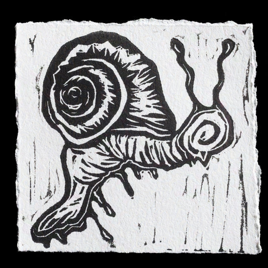 This linocut print, titled "Lil Friend" by Berlin Perez, showcases a black snail on white paper. The image features a stylized snail with a prominent shell and antennae, printed in bold black lines against a crisp white background. The simplicity of the design allows for a clear focus on the subject, making it easy to appreciate the intricate details of the snail's form.