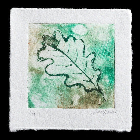 This original intaglio print, titled "Oak," features a detailed illustration of an oak leaf in shades of green. Created by Nadia Dada using drypoint techniques, this piece showcases her skillful use of color and texture to capture the intricate details of nature. The print is signed by the artist and numbered (1/100) on the lower left corner.