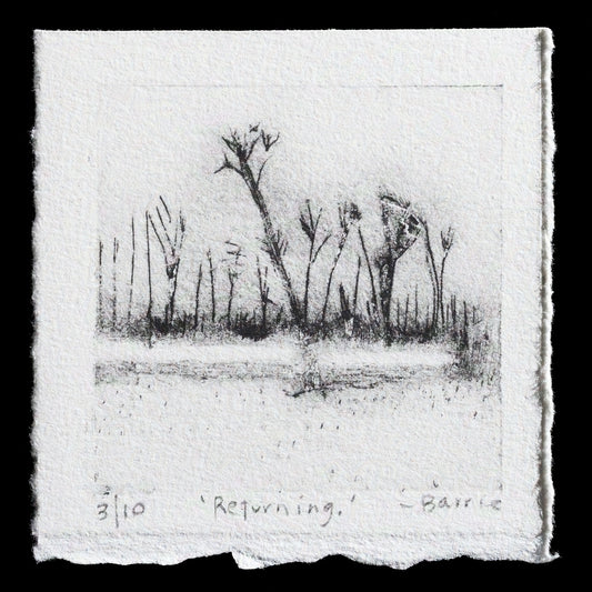 This etching titled "Returning" by Barrie Sanders presents a serene landscape with leafless trees set against a gray background. The artist's use of drypoint and TetraPak techniques creates a textured, atmospheric effect that emphasizes the play of light on the bare branches.