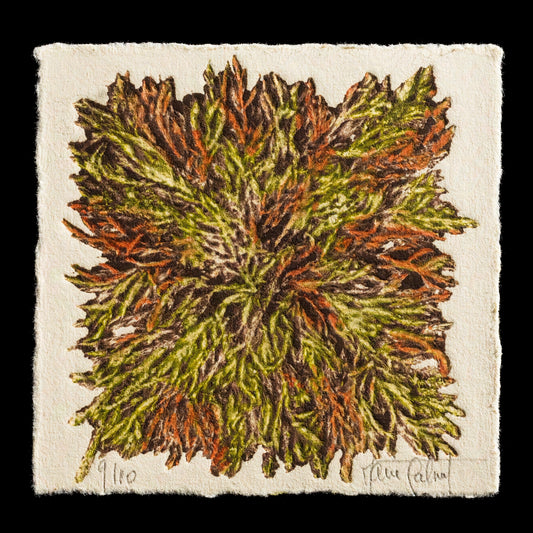 This print, titled "The Green Pillow," showcases Marie Calmet's expertise in collagraphy technique.

**Key Features:**

* A vibrant green pillow serves as the central subject
* The pillow is adorned with intricate patterns and textures created using collagraphic techniques
* The overall effect is one of lushness and depth