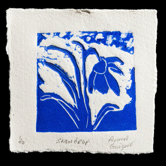This artwork, titled "Snow Drop," is a linocut print by Anna Kearney Guign�, showcasing a serene winter scene with deep blue hues against off-white backgrounds. The relief print technique brings out intricate details in the snowdrop flower and surrounding foliage.