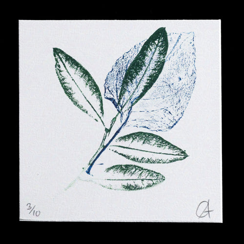 This print showcases a delicate arrangement of leaves in shades of green and blue against a white background. The title 'Natuur afdruk, 2 lagen' suggests that it is part of a series or collection of nature-inspired prints created using relief printing techniques.