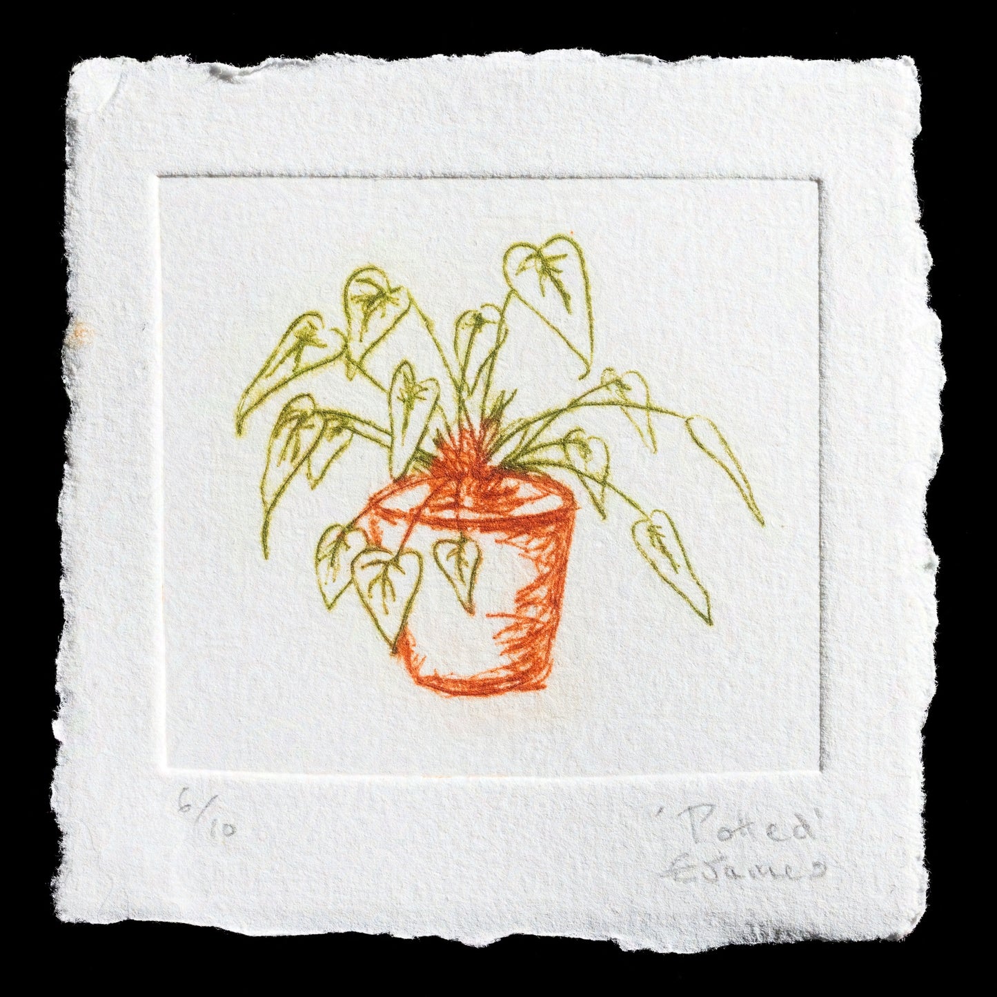 This print by Ellie James (Foxglove Press) is titled 'Potted' and features a detailed drypoint technique.

**Print Details**

* Title: 'Potted'
* Artist: Ellie James (Foxglove Press)
* Technique: Drypoint
* Visible Content: A potted plant with leaves and stems

**Color Palette**

The print showcases an earthy color palette, predominantly featuring shades of brown and green.