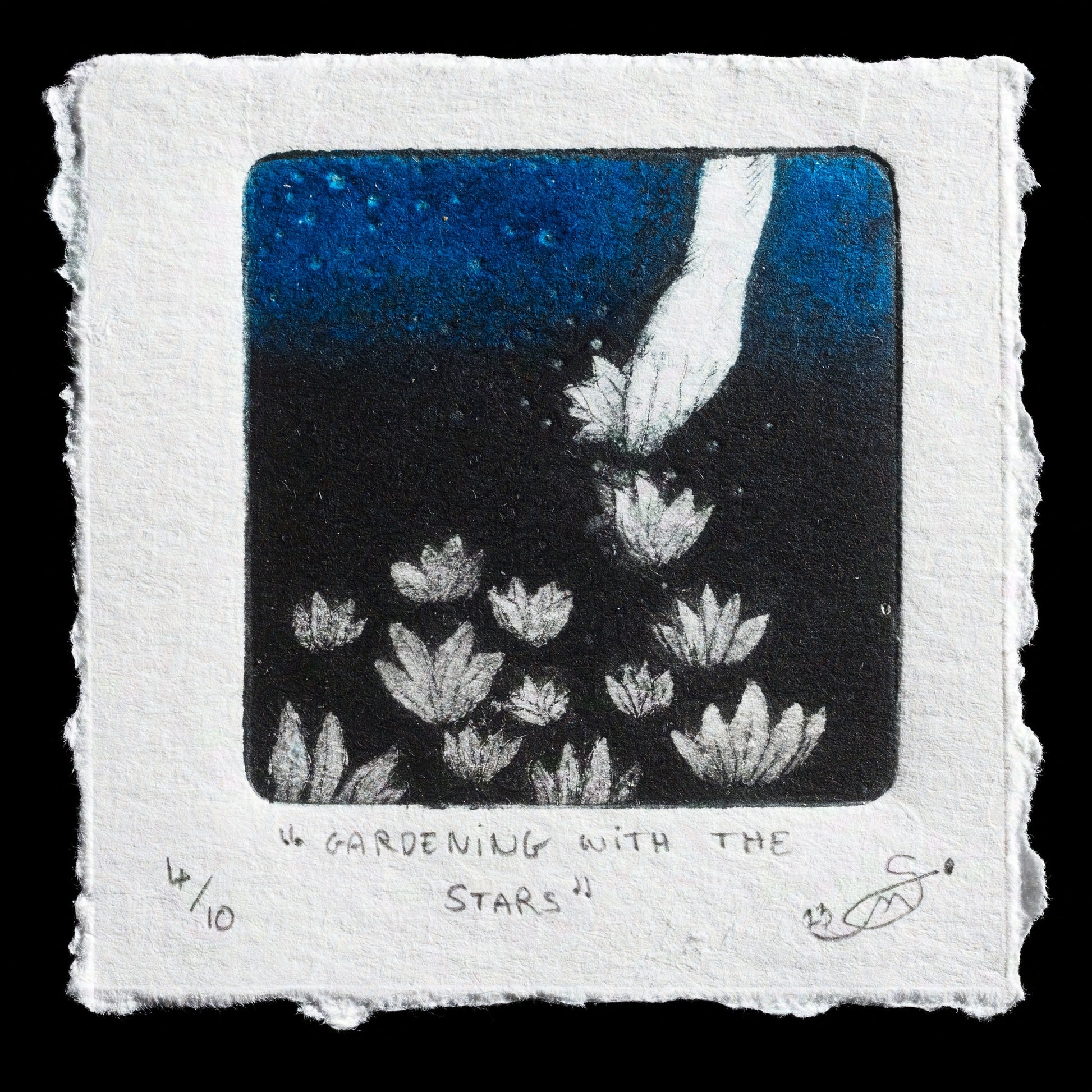 This captivating print, "Gardening With The Stars", is a remarkable piece by Manon Sauvage, showcasing her expertise in drypoint and carborundum techniques.

The artwork features a striking contrast between the deep blue night sky and the delicate white flowers sprouting upwards, creating a sense of wonder and enchantment.