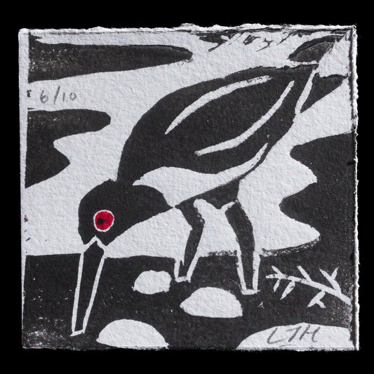 This captivating linocut print, titled "Oystercatcher" by Laura Hammonds, showcases an oystercatcher bird in striking black and white hues, with a bold red eye drawing attention to its distinctive plumage. The artist's use of contrasting colors creates a visually appealing composition that highlights the bird's unique features.