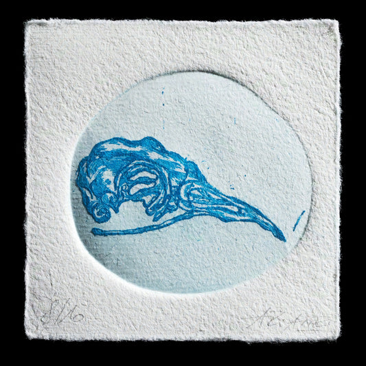 This artwork, titled "Dood vogeltje" by Ariane Stieg, is a captivating piece that showcases the artist's skillful use of etching techniques.

**Key Features:**

* A bird skull rendered in blue ink
* The skull is depicted in profile, with its beak pointing downwards
* The background is a light gray color
* The artwork is presented on paper

**Color Palette:**

* Blue ink used for the bird skull
* Light gray background