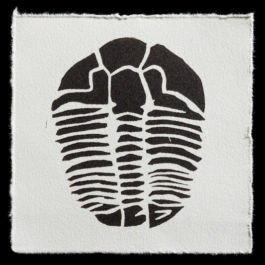 Here is a concise summary of the image within the 200-character limit:

A trilobite print from artist Lee Fearnside, showcasing their expertise in linocut art.