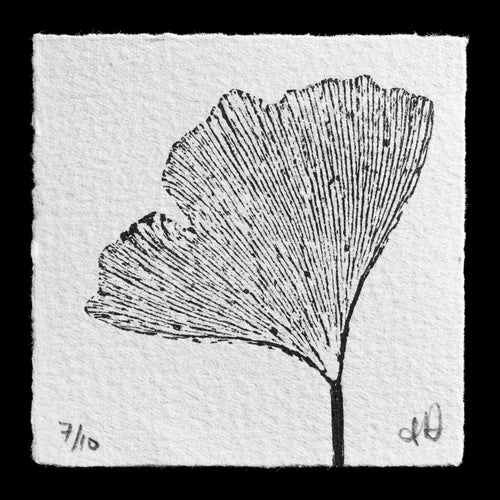 This print features a black-and-white illustration of a ginkgo leaf, rendered in fine lines to convey intricate detail. The delicate drawing showcases the distinctive fan-shaped structure of the leaf's veins and edges. Set against a light gray background, the image offers a striking contrast that highlights its central subject: a single ginkgo leaf.