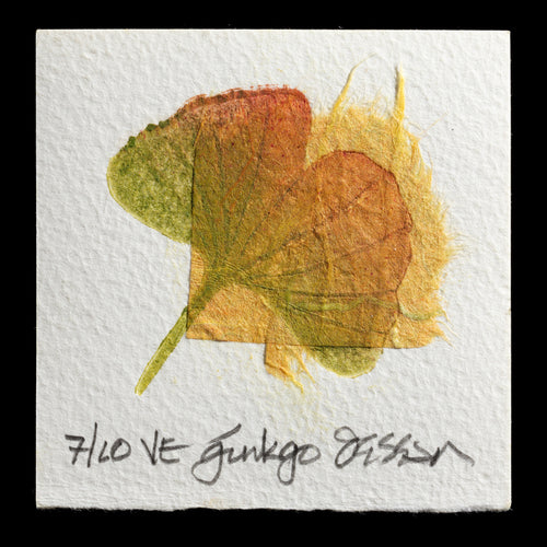 This artwork by Dennis Humphrey showcases a ginkgo leaf print, created using the unique techniques of TetraPak;chine-coll�. The vibrant autumnal hues evoke a sense of seasonal change, as leaves transform from green to shades of gold and red.